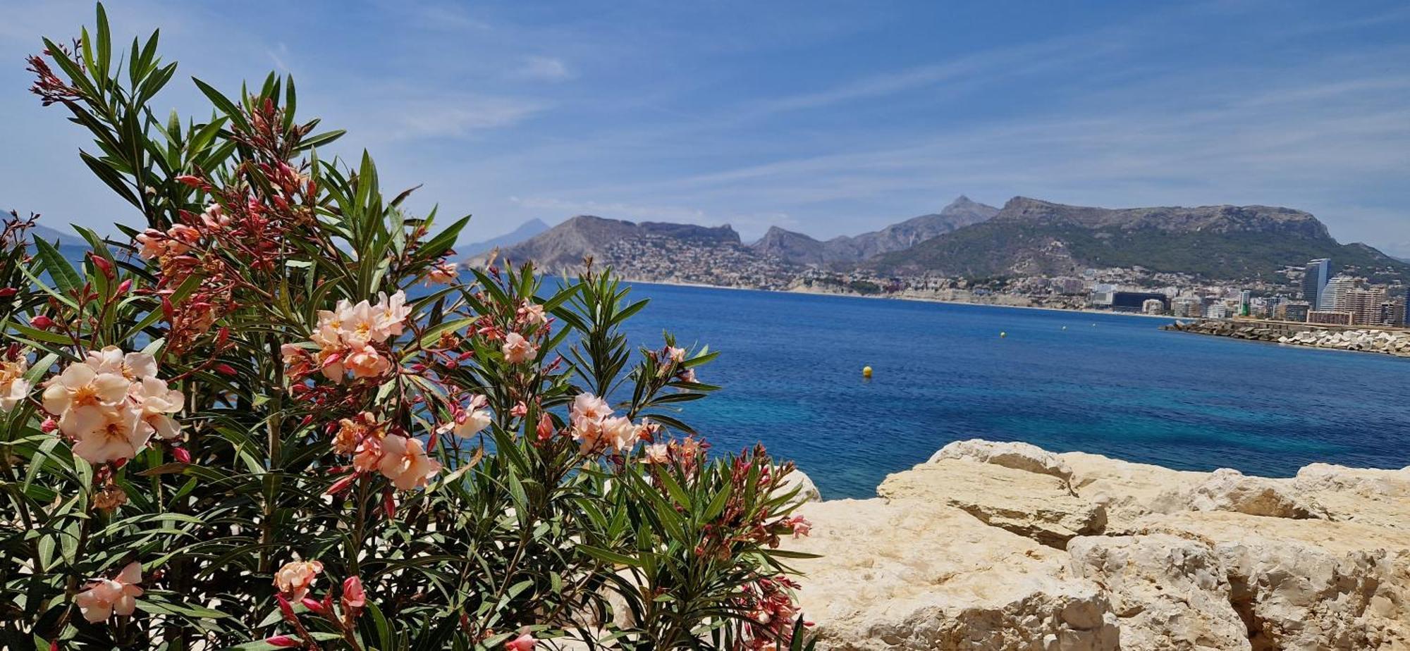 Arenal Sea View Apartment Calp